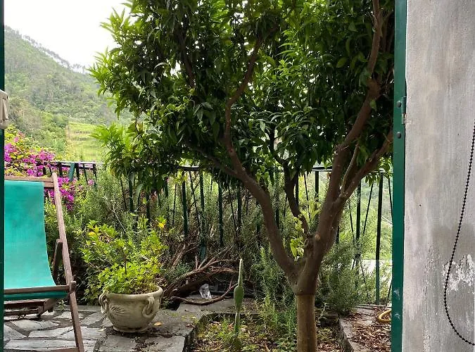 La Terrazza Apartment *