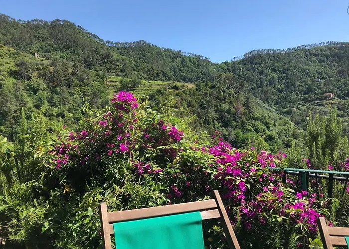 La Terrazza Apartment *