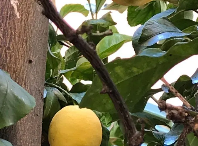 La Terrazza Apartment Levanto