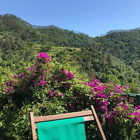 La Terrazza Apartman *